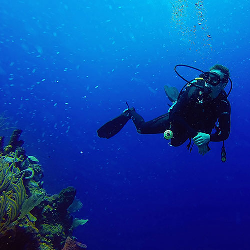 Biographie H²O Design inc.