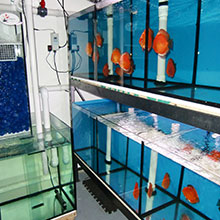 Gallerie - H²O Design inc.