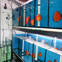 Gallerie - H²O Design inc.