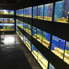 Gallerie - H²O Design inc.