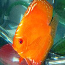 Gallerie - H²O Design inc.