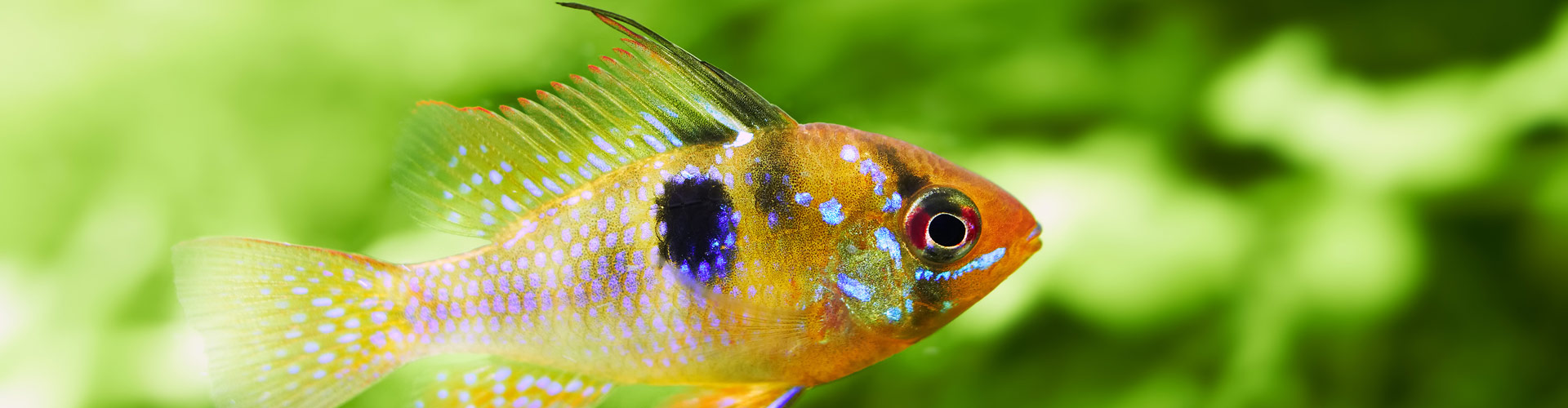 Systèmes de filtration H²O Design inc.